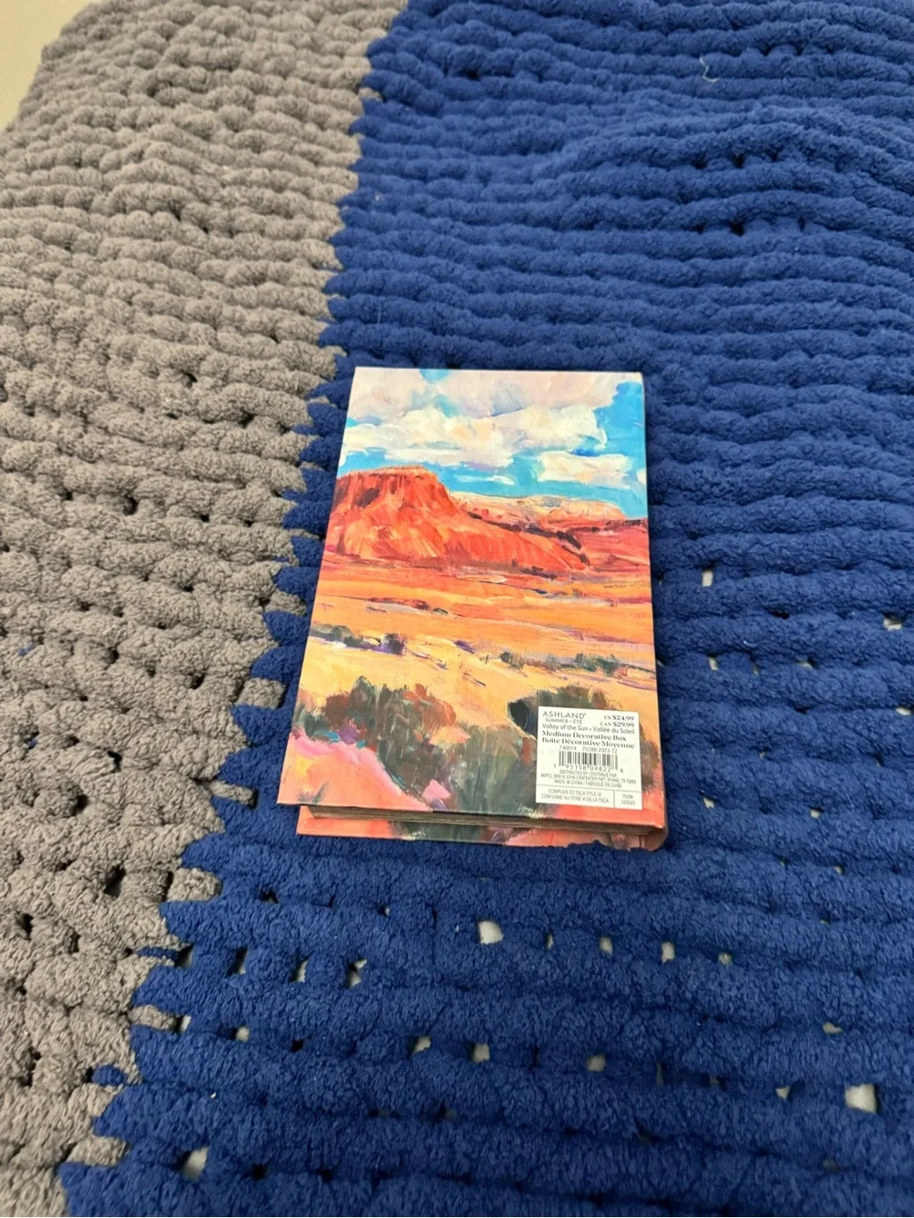 Ashland Desert Canvas Art Print in Blue and Orange